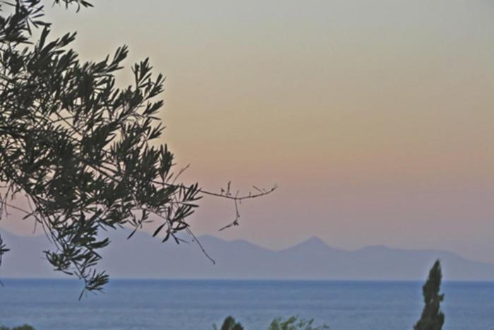 Pouliezos Koklanis Zante Apartments Alykes  Bagian luar foto