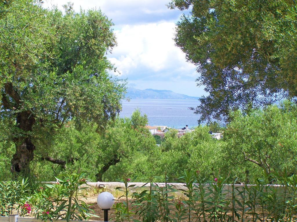 Pouliezos Koklanis Zante Apartments Alykes  Bagian luar foto
